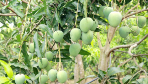 Phú Thọ xếp thứ 21 cả nước về mức độ hài lòng của người dân