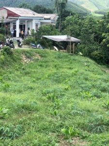 Sơn La: “Trái ngọt” xóa nghèo ở vùng cao