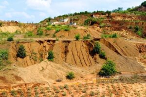 Phú Thọ yêu cầu dừng hoạt động nhà máy viên nén gỗ sau phản ánh ô nhiễm