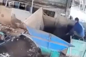 Video full bé 4 tuổi hát tặng mẹ